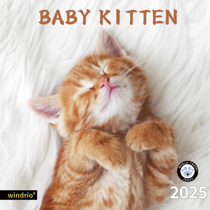 Photo 1 of (10 pack) 2024-2025 Wall Calendar, July 2024 - December 2025, Monthly Wall Calendar Baby Kitten, 12" x 24"