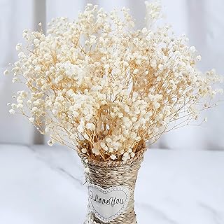 Photo 1 of L'BREVOGA Dried Flower Bouquets, 6 pcs Single Stem Rose with Baby's Breath for Floral Arrangments Home Decoration (Light Green, 16 inches)