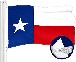 Photo 1 of Texas Polyester Flag, 4 by 6'