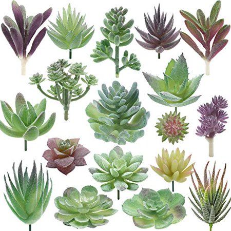 Photo 1 of Miltonson Artificial Succulent Plants - 18 Pack - Premium Fake Plants - Double Flocked Succulents - Realistic Textured Cactus - Face Succulent Plants
