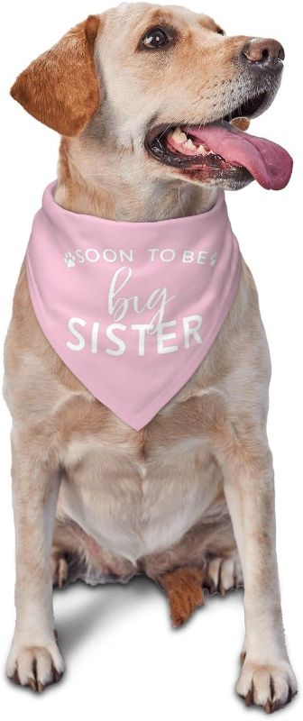 Photo 1 of Soon to be Big Sister Dog Scarf Accessories Props Decorations,Pregnancy Announcement,Gender Reveal Dog Bandana, Reversible Dog Bandana (Pink)
