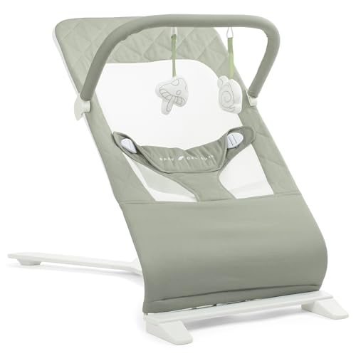 Photo 1 of Baby Delight Alpine Deluxe Portable Baby Bouncer | Infant | 0-6 Months | 100% GOTS Certified Organic Cotton Fabric | Organic Sage
