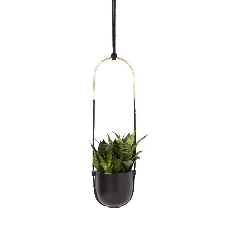 Photo 1 of 1009571-040 BOLO Hanging Planter - Black
