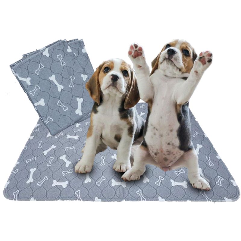 Photo 1 of 2 Pc Washable Pee Pads, Reusable Puppy Pads, Absorbent Mats for Pets,  [Grey, Small] 