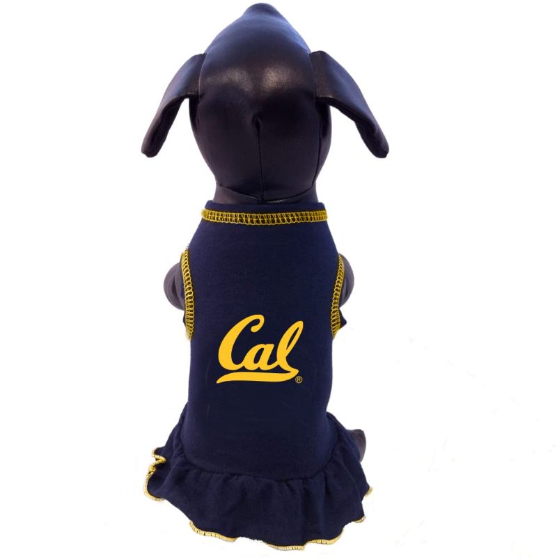 Photo 1 of NCAA California Golden Bears Cheerleader Dog Dress Navy XX-Small