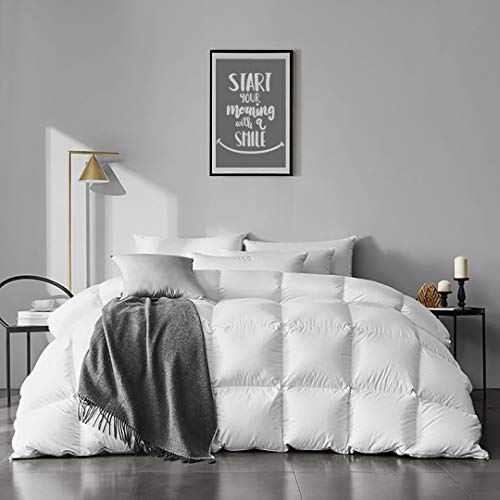 Photo 1 of APSMILE Queen Size Goose Feather Down Comforter - Ultra Soft All Seasons 100% Organic Cotton Feather Down Duvet Insert Medium Warm Quilted Bed Comfort
