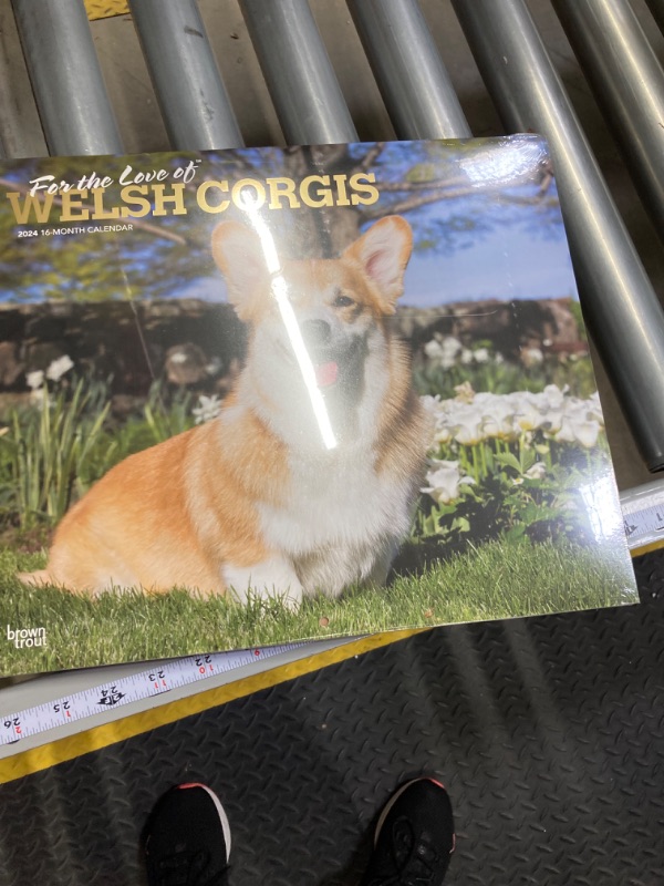 Photo 2 of For the Love of Welsh Corgis | 2024 14 x 24 Inch Monthly Deluxe Wall Calendar | Foil Stamped Cover | BrownTrout | Animal Dog Breeds https://a.co/d/fyijVSn