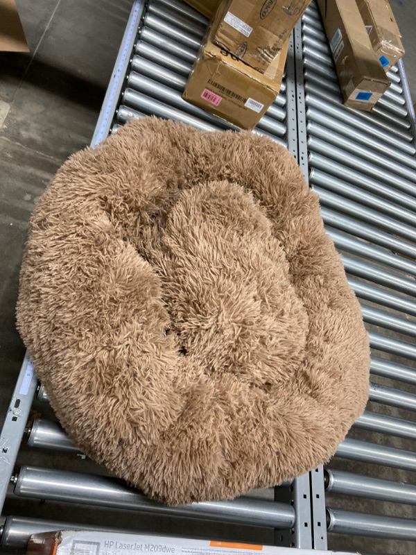Photo 1 of Bedsure Calming Dog Bed for Small Dogs - Donut Washable Small Pet Bed