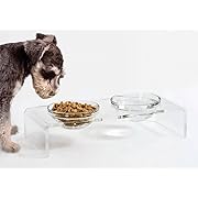 Photo 1 of Acrylic Elevated Dog Cat Bowls Pet Feeder Double Bowl Raised Stand Comes with 2 Removable Glass Bowls and 2 Stainless Steel Bowls.Perfect for Cats Puppies Small Dogs