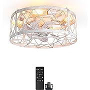 Photo 1 of 20" Caged Fandelier Ceiling Fans with Lights, Upgraded 360° Oscillating Ceiling Fans, Low Profile Farmhouse Ceiling Fans with Remote for Bedroom, Living Room, Kitchen