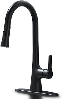 Photo 1 of Meena Single-Handle Pull-Down Sprayer Kitchen Faucet with Power Clean and Reflex in Matte Black