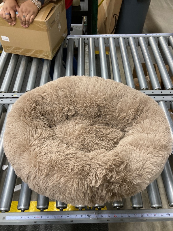 Photo 2 of Bedsure Calming Dog Bed for Small Dogs - Donut Washable Small Pet Bed, 23 inches Anti-Slip Round Fluffy Plush Faux Fur Large Cat Bed, Fits up to 25 lbs Pets, Camel