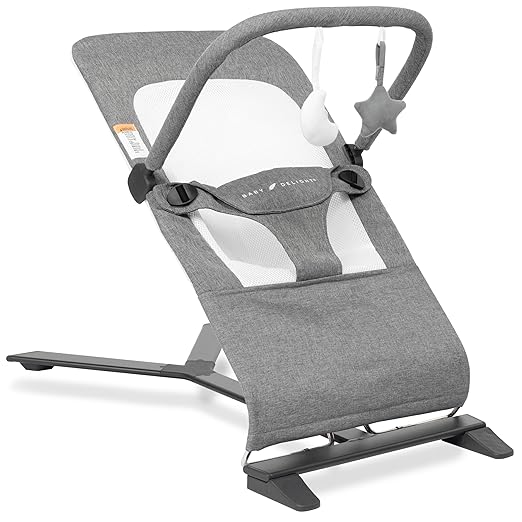 Photo 2 of Baby Delight Alpine Deluxe Portable Bouncer, Infant, 0 – 6 months, Charcoal Tweed