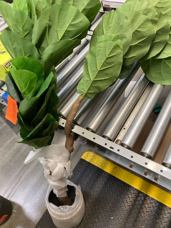 Photo 2 of 6 ft. Real Touch Artificial Fiddle Leaf Fig Tree in Pot