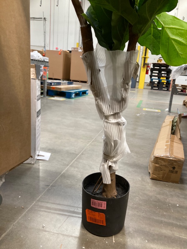 Photo 3 of 6 ft. Real Touch Artificial Fiddle Leaf Fig Tree in Pot