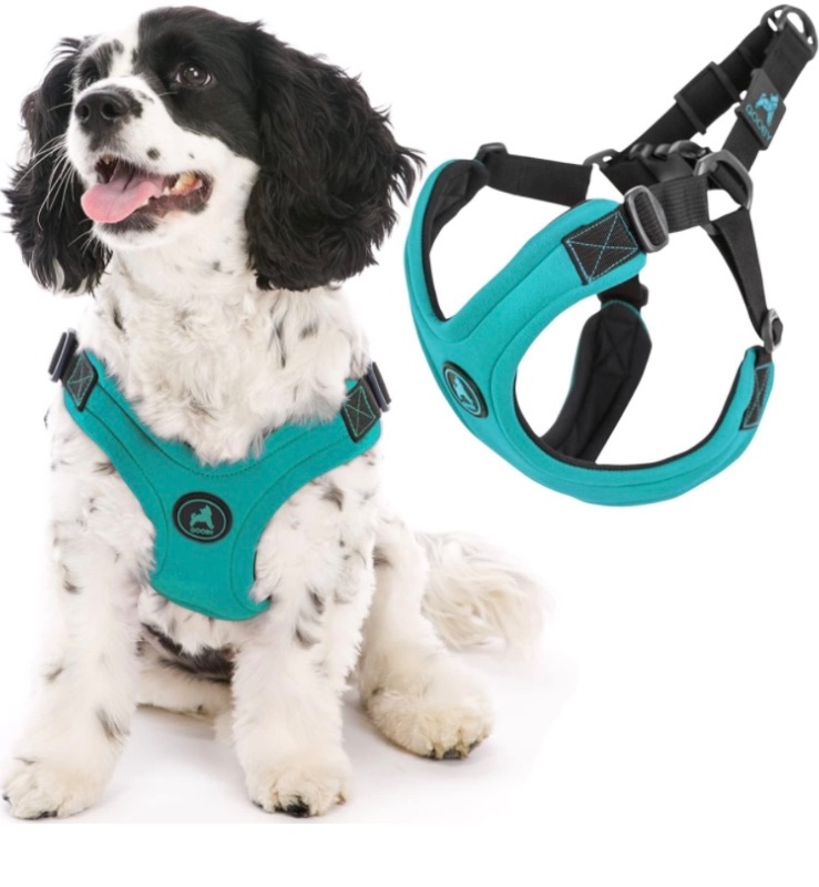 Photo 1 of Gooby Escape Free Sport Harness - Turquoise, Medium - No Choke Step-In Patented Neoprene Small Dog Harness, Four-Point Adjustment - Perfect on the Go Dog Harness for Medium Dogs No Pull and Small Dogs