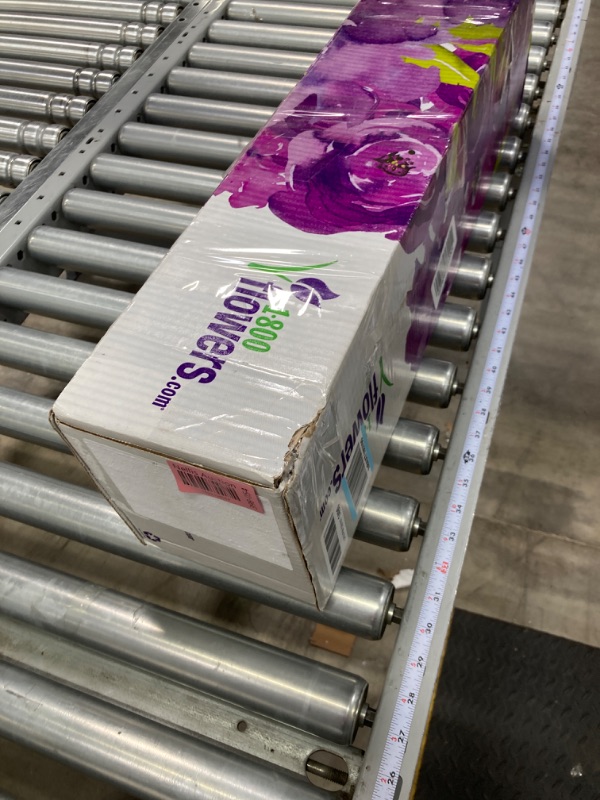 Photo 3 of Amazon Basics High-Density Round Foam Roller for Exercise, Massage, Muscle Recovery - 12", 18", 24", 36" Black 24-Inch Roller + Floor Mat, Black