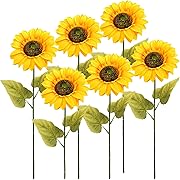 Photo 1 of 
XHXSTORE 6pcs 24.4" Sunflowers Artificial Flowers with Long Stems Fake Sunflowers Yellow Silk Flowers Faux Sunflower Arrangement for Spring Home Wedding Garden Vase Birthday Party Kitchen DecorXHXSTORE 6pcs 24.4" Sunflowers Artificial Flowers with Long S