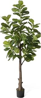 Photo 1 of CAPHAUS Artificial Fiddle Leaf Fig Tree, 6/7 Feet in Pot with Dried Moss, for Indoor House Home Office Store, Potted Ficus Lyrata Faux Tree, Fake Plant Modern Decoration Gift for Housewarming https://a.co/d/9Bl6RRV