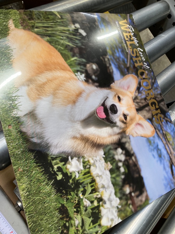 Photo 2 of Welsh Corgis Calendar 2024 - Deluxe 2024 Corgis Wall Calendar Bundle with Over 100 Calendar Stickers (Corgis Gifts, Office Supplies)