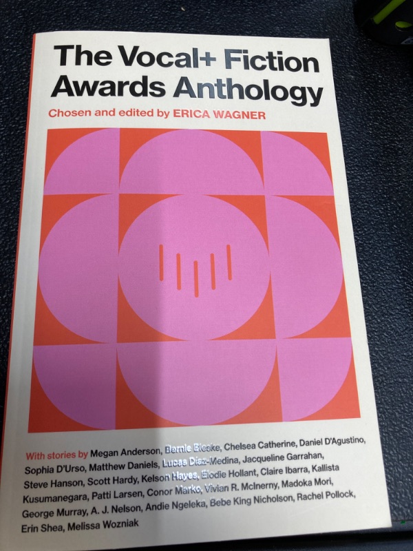 Photo 2 of The Vocal+ Fiction Awards Anthology