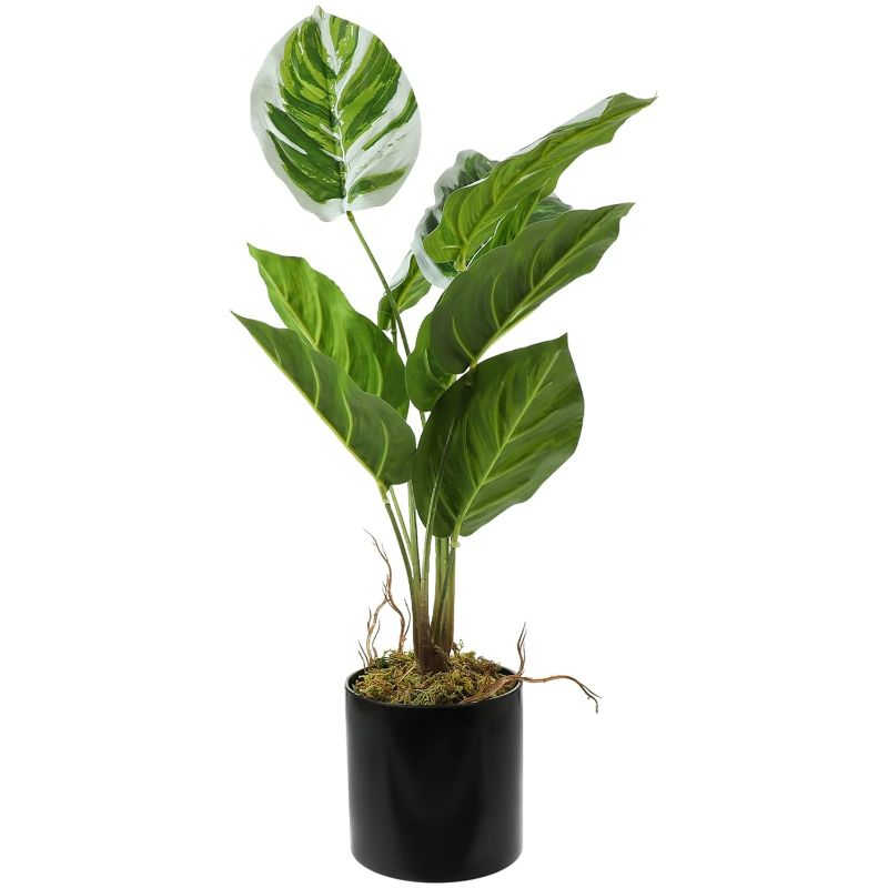 Photo 1 of (NON-REFUDNABLE) Ipetboom Artificial Potted Plant Home Decoration Artificial Arrowroot Plant Faux Plant Decor Plant Pot Lifelike Arrowroot tv Stand Decor Household Faux Arrowroot Floor Bonsai Ornament Model
