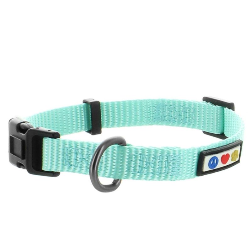 Photo 1 of Pawtitas Dog Collar for Large Dogs Training Puppy Collar with Solid - L - Teal
