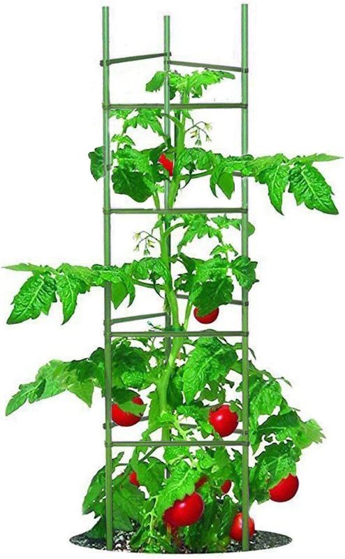 Photo 1 of Tomato Cage 5ft Tall Tomato Cages Tomato Stakes 