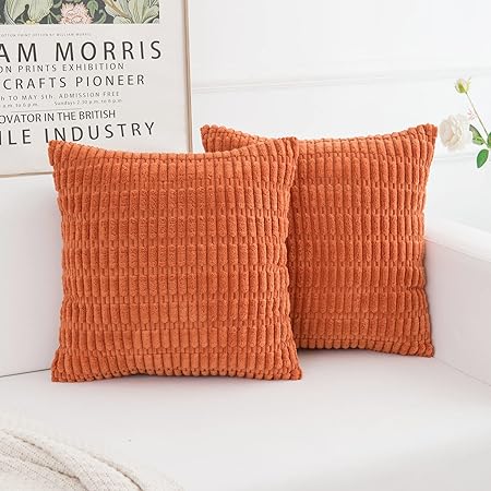 Photo 1 of WELTRXE 2 Packs Rust Decorative Throw Pillow Covers 20x20 Inch for Couch Bed Sofa Living Room, Boho Pillow Covers Rustic Modern Farmhouse Fall Home Decor, Soft Striped Corduroy Square Cushion Case