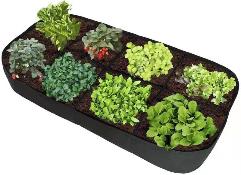 Photo 1 of Fabric Raised Garden Bed 6x3x1ft Garden Grow Bed Bags for Growing Herbs, Flowers and Vegetables 128 Gallon 