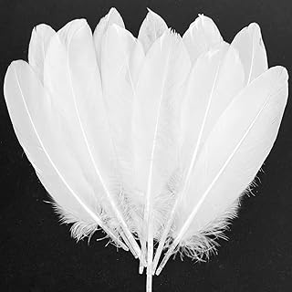 Photo 1 of white feathers