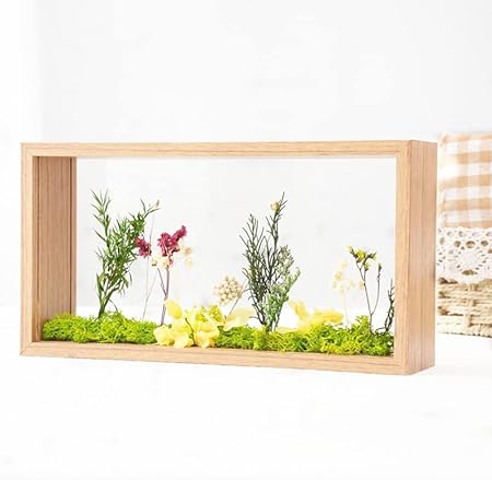 Photo 1 of JOSON wooden dried flower picture frame dried flower display frame decoration floating picture frame desktop postcard commemorative photo herbarium museum picture frame (Wood color 7x12)