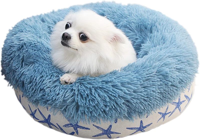 Photo 1 of Puppy Beds for Small Dogs Washable 19 Inches Lake Blue Color Matching Starfish Calming