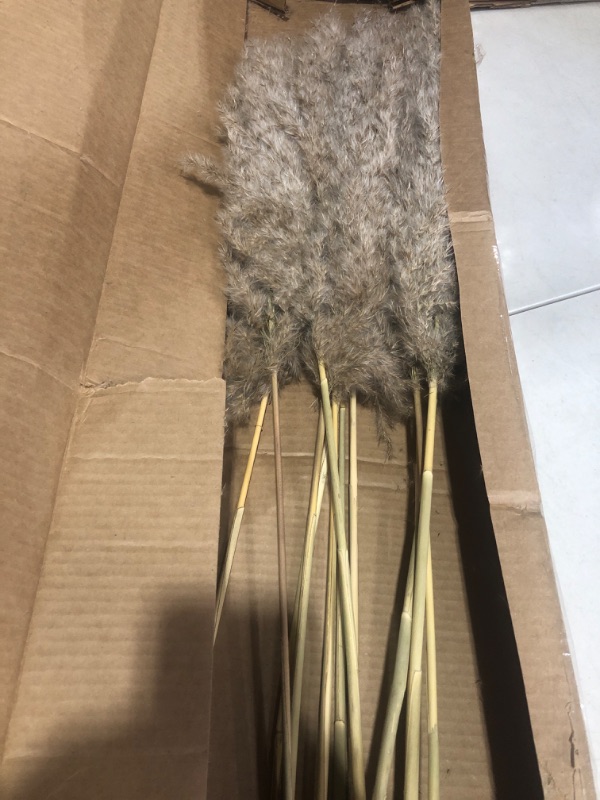 Photo 2 of 12 Pcs Large Dried Pampas Grass Decor Tall 35 inches, Boho Decor Pompas Floral for Arrangements Home Wedding Yard Party Photography, Fluffy 12 pcs - Brown