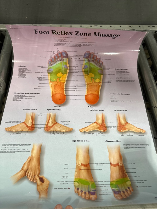 Photo 2 of 3B Scientific VR1810L Glossy UV Resistant Laminated Paper Foot Reflex Zone Massage Anatomical Chart, Poster Size 20" Width x 26" Height