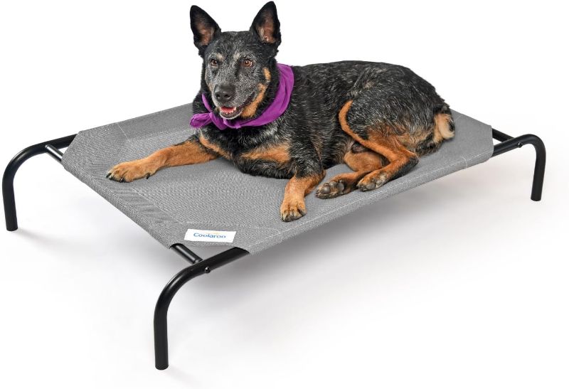 Photo 1 of (READ FULL POST) Amazon Basics Cooling Elevated Pet Bed, XS to XL Sizes Medium Grey Pet Bed 