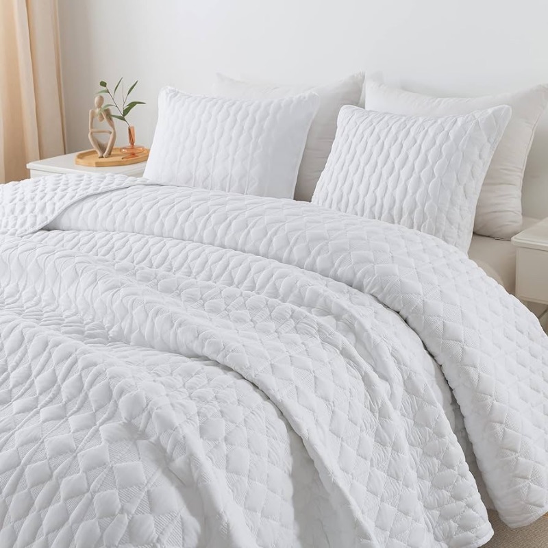 Photo 1 of  
WDCOZY
White Quilt Queen Size Bedding Sets with Pillow Shams, Lightweight Soft Bedspread Coverlet, Quilted Blanket Thin Comforter Bed Cover, All Season Spring Summer, 3 Pieces, 90x90 inches