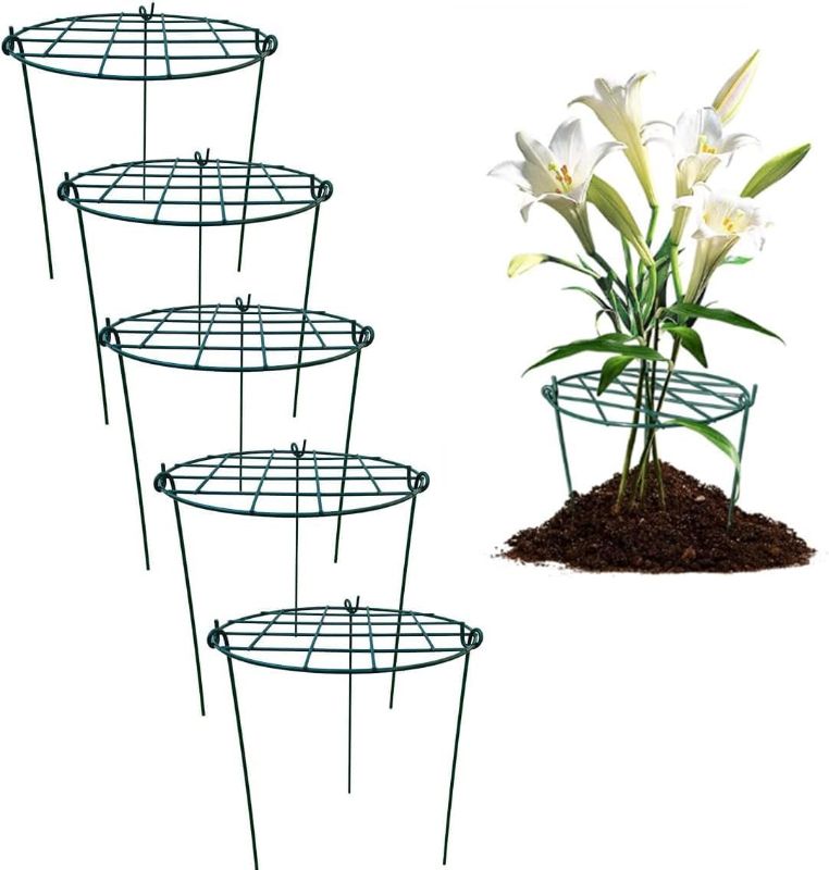 Photo 1 of (Similar to Stock Photo) MTB SUPPLY 16 x 24 inch Peony Cages,Grow Through Plant Support Stakes, Flower Support Hoops Heavy Plants Brace Rings,Pack of 3