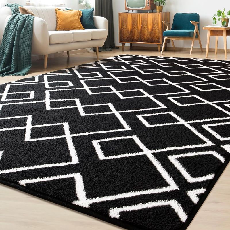 Photo 1 of  Modern Area Rug Black and White 