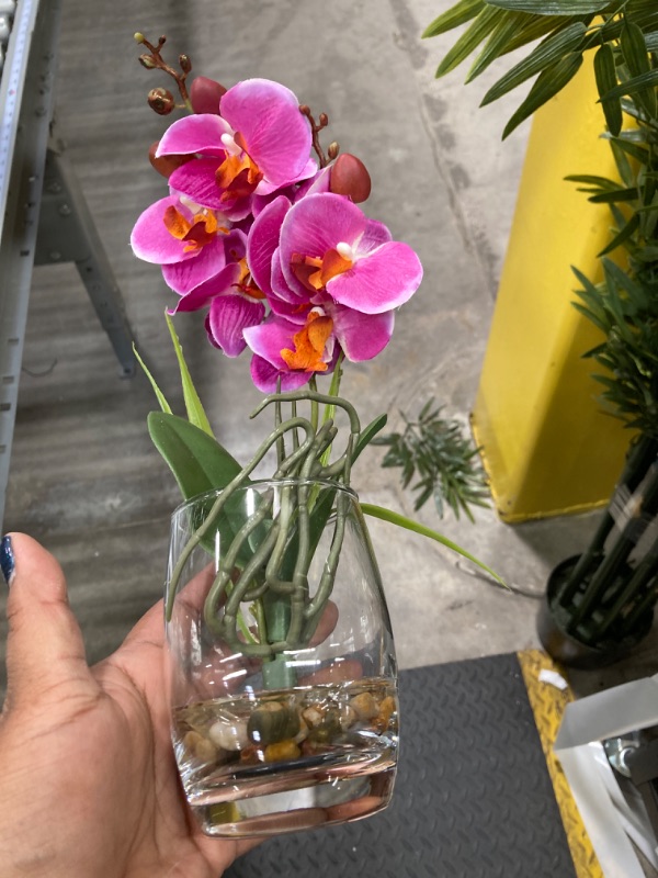 Photo 2 of Jusdreen Artificial Flower Bonsai with Glass Vase Vivid Orchid Flowers Arrangement Phalaenopsis Flowers Pot for Home Office Décor House Decorations(Glass Vase/Purple Orchid)