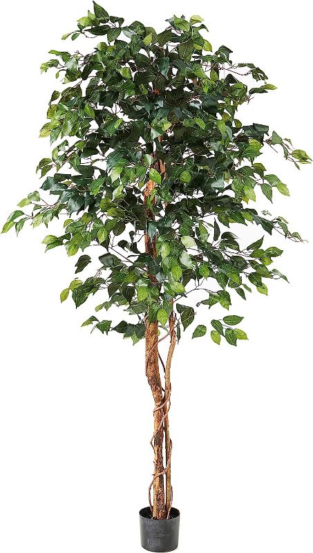Photo 1 of Nearly Natural 6ft. Ficus Artificial Trees, 72in, Green & Golden Dieffenbachia with Decorative Planter, Green 72 in Trees + Dieffenbachia