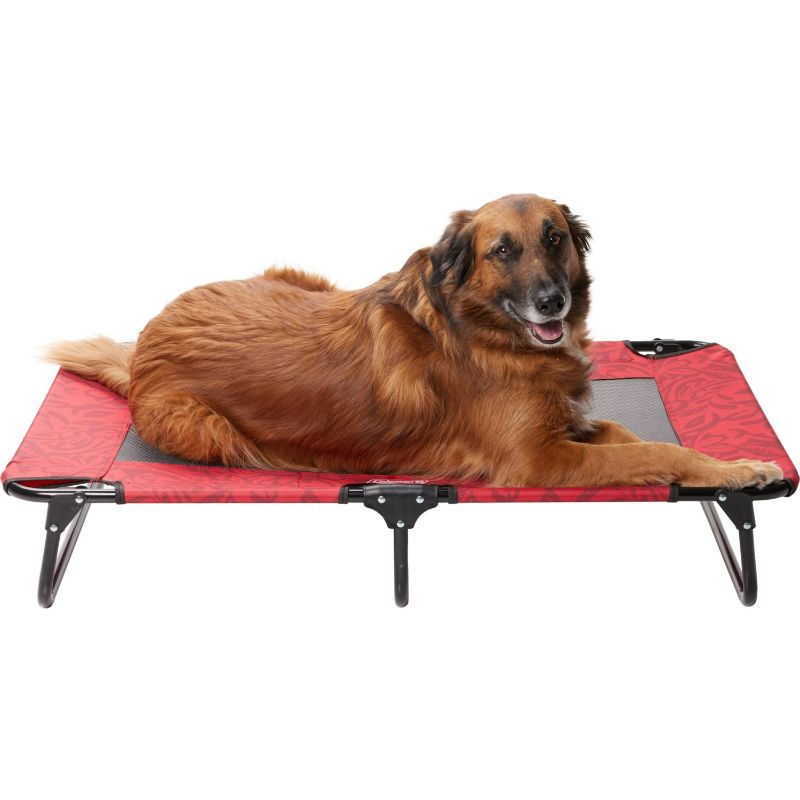 Photo 1 of Coleman Large Fold and Go Pet Cot - 42x24x8”