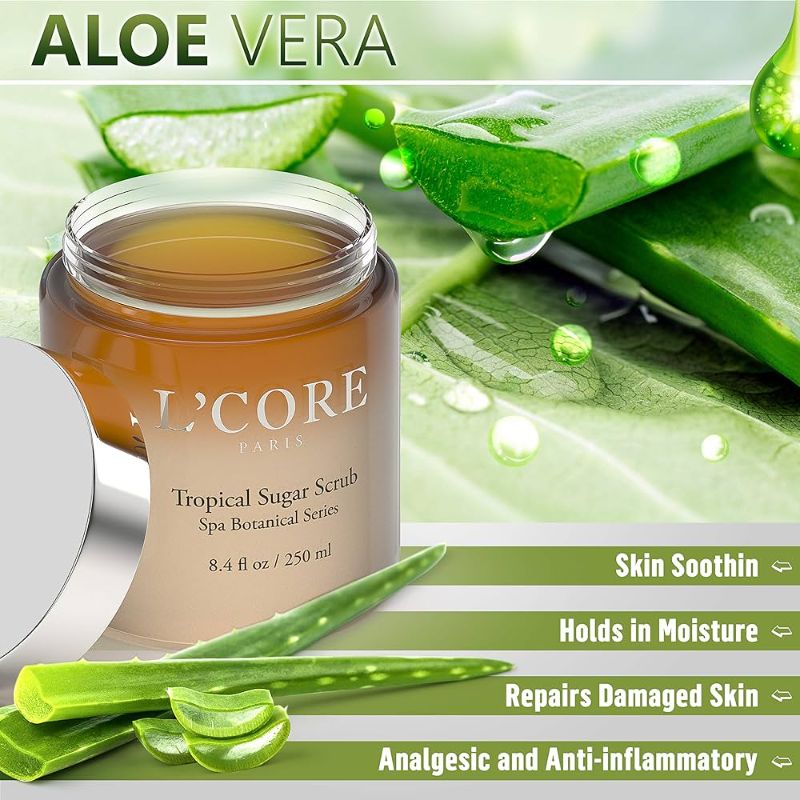 Photo 1 of 2 Pack Tropical Sugar Scrub 8.4oz/250ml Nourishing Ingredients Luxurious Scrub Infused with Aloe Vera and Antioxidants Effectively Exfoliate Dead Skin and Protect New Skin from Free Radical Damage New