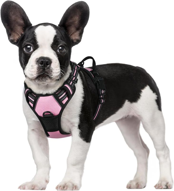 Photo 1 of rabbitgoo Dog Harness, No-Pull Pet Harness with 2 Leash Clips, Adjustable Soft Padded Dog Vest, Reflective No-Choke Pet Oxford Vest with Easy Control Handle for Small Dogs, Pink, S
