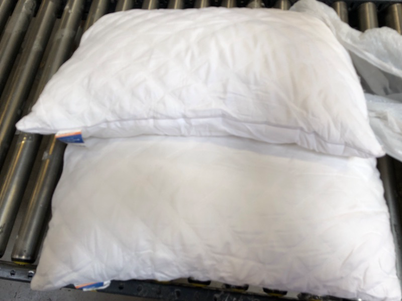 Photo 1 of Bed Pillow Set of Two--White