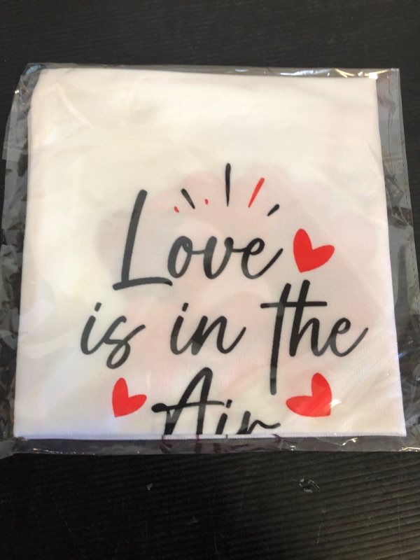 Photo 2 of 18''X 18'' Valentine's Day Dog Pillow Cover - 'Love is in The Air' Labrador Retriever - Decorative Farmhouse Animal Cushion Case, for Dog Lovers, Dog Moms & Dog Owners 18" x 18"