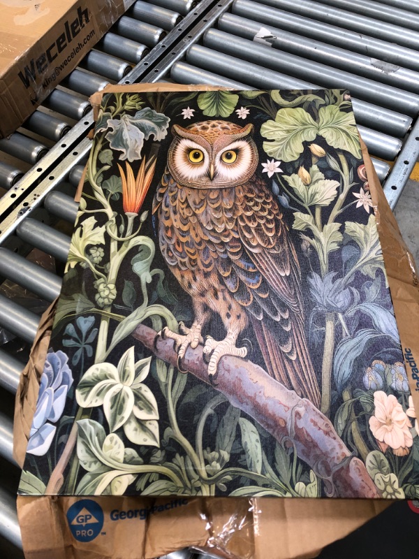 Photo 1 of Owl in the garden Canvas