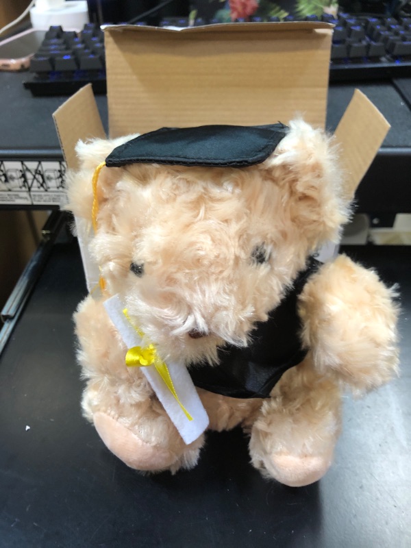 Photo 2 of Graduation Bear Plush