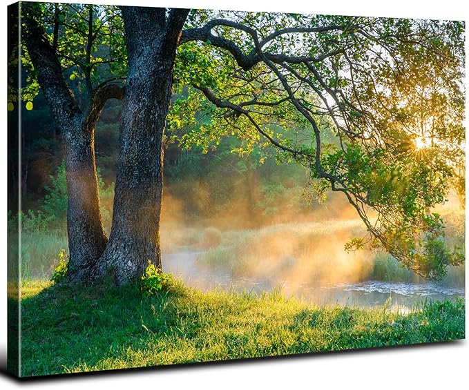 Photo 1 of Nature Wall Art Forest Landscape Picture Oak Tree Canvas Print Artwork for Living Room Bedroom Vintage Green Mountain Sunrise Wall Decor Morning Sunlight Framed Painting Bathroom Home Decoration 12x16
