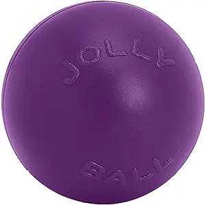 Photo 1 of Jolly Pets Push-n-Play Ball Dog Toy, 14 Inches/Extra-Large, Purple,All Breed Sizes
